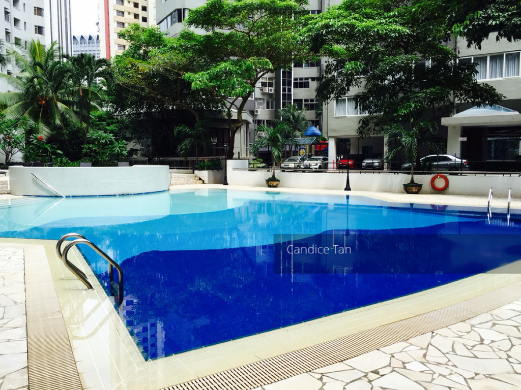 Cairnhill Plaza (D9), Apartment #125720362